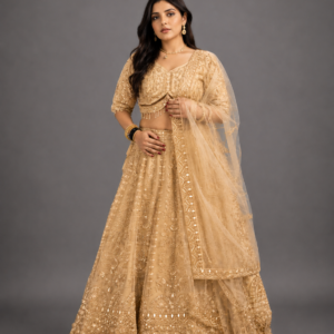 Golden Beige Heavy Embroidered Net Lehenga Choli Set with Mirror Work & Sheer Dupatta